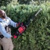 Photo of a Honda HHH 36AXB Cordless Hedge Trimmer