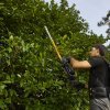 STIGA SHT 900 AE cordless hedge trimmer